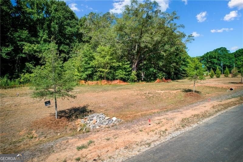 106 Laurel Brook Lane Canton - 10