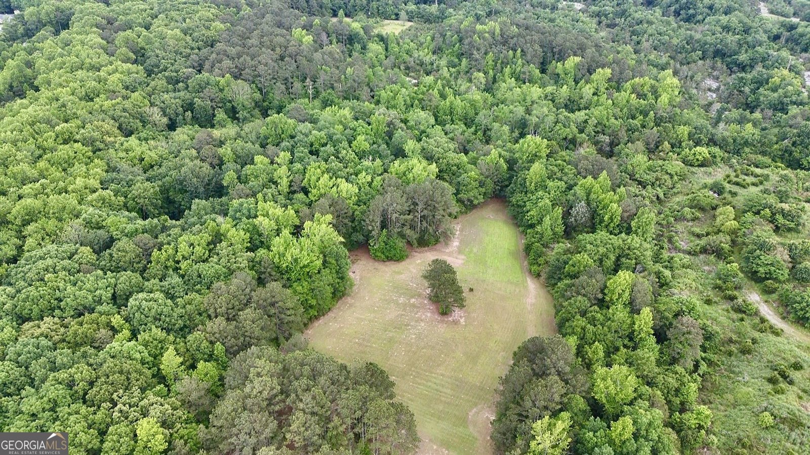 4320 Center Hill Church Road Loganville - 59
