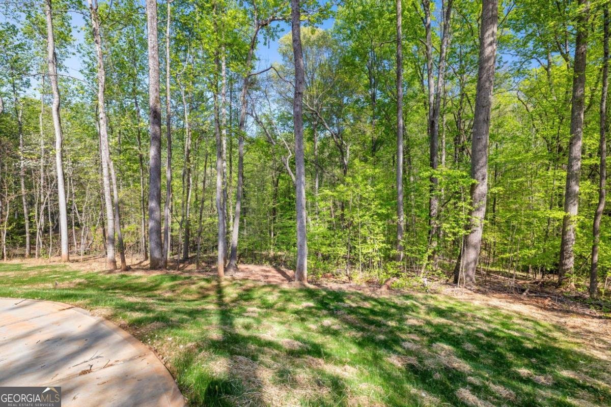 4226 Quail Creek Drive Flowery Branch - 57