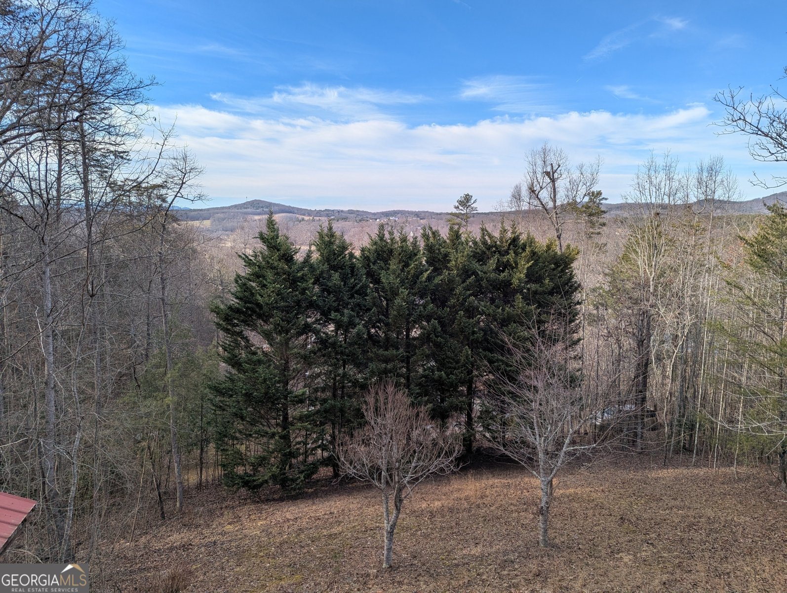 280 Northwoods Circle Blairsville - 41