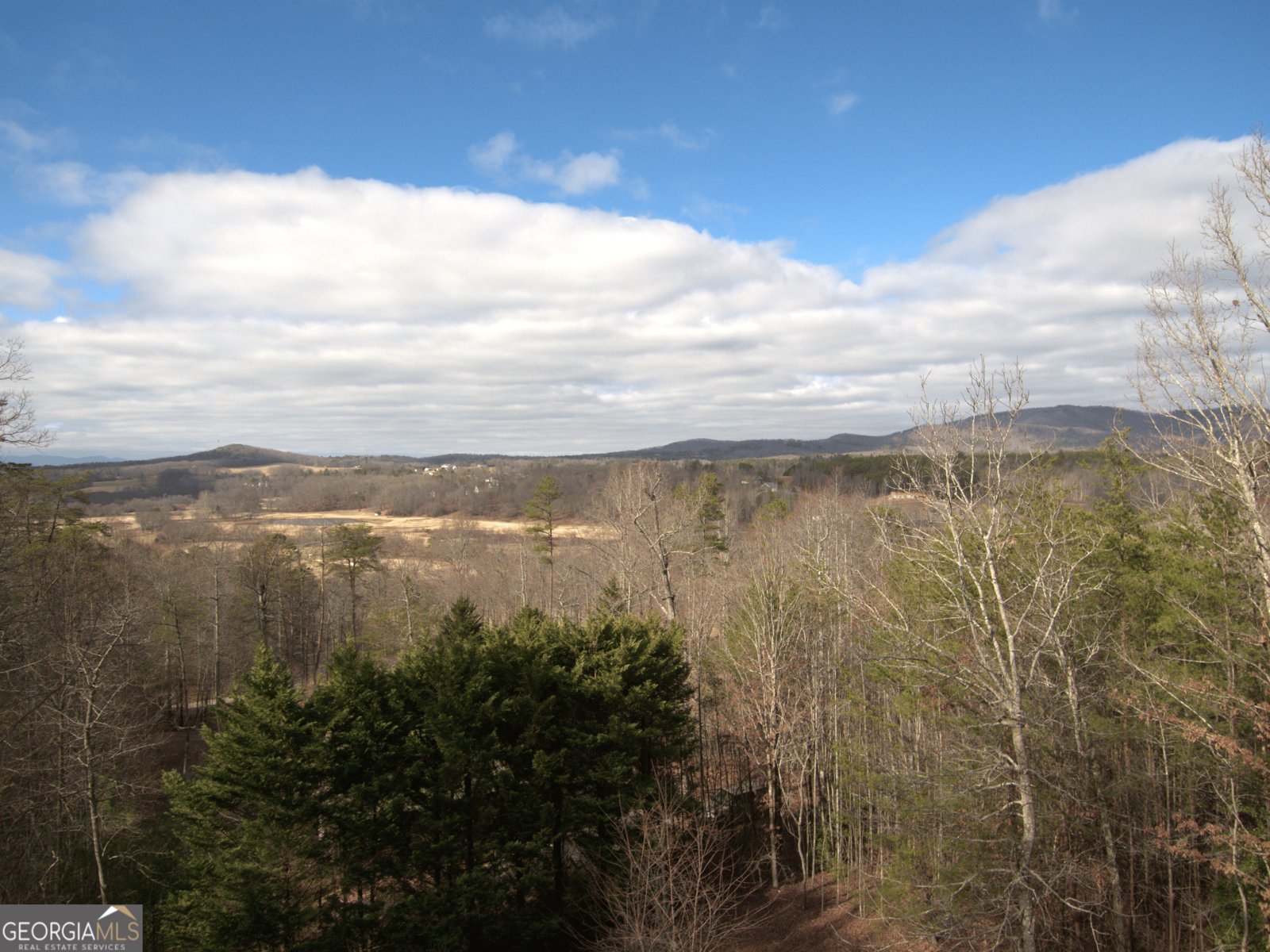 280 Northwoods Circle Blairsville - 45