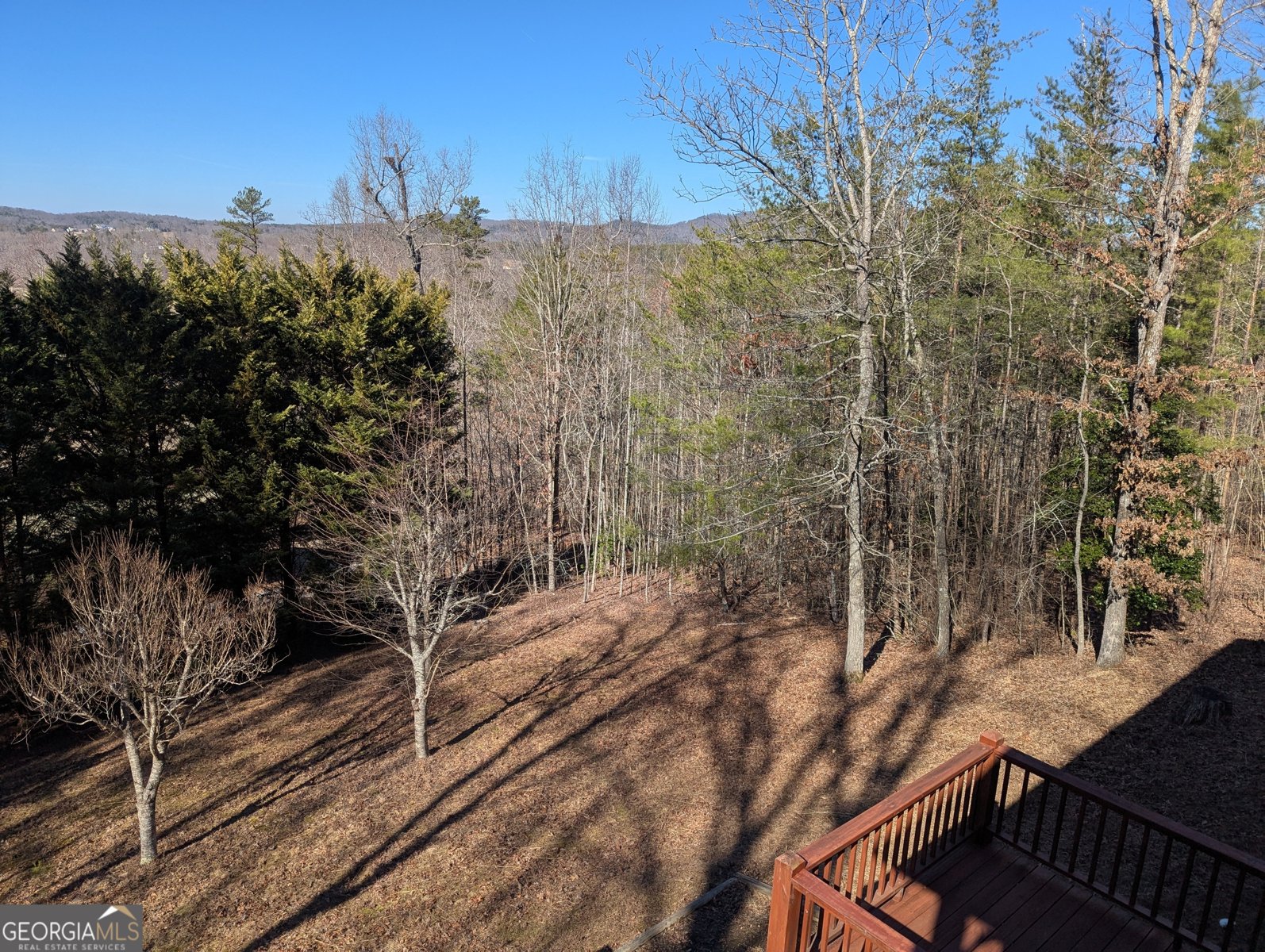 280 Northwoods Circle Blairsville - 47
