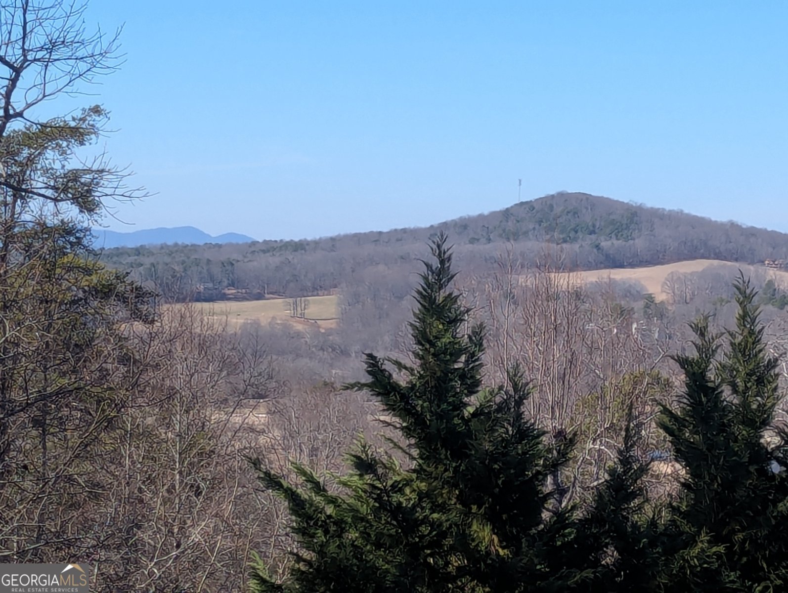 280 Northwoods Circle Blairsville - 48