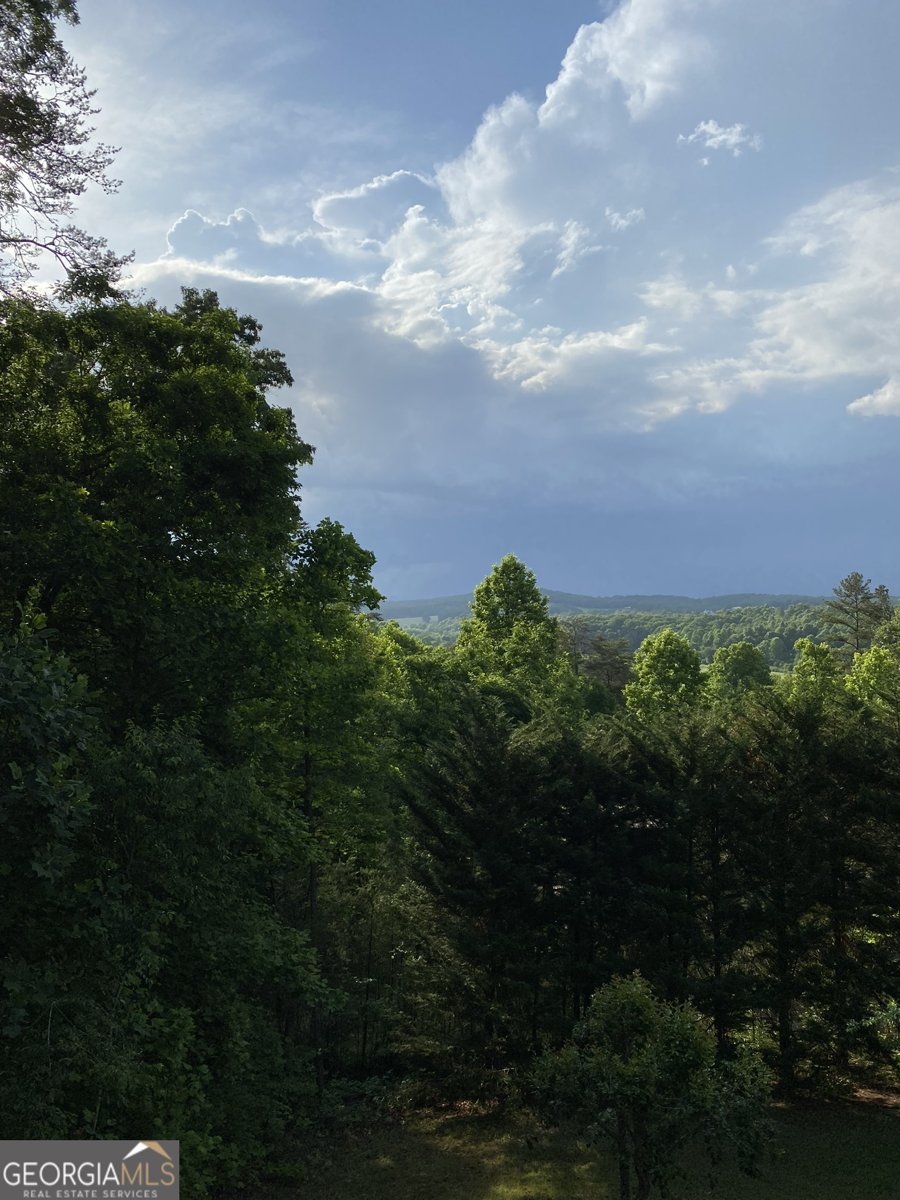 280 Northwoods Circle Blairsville - 56