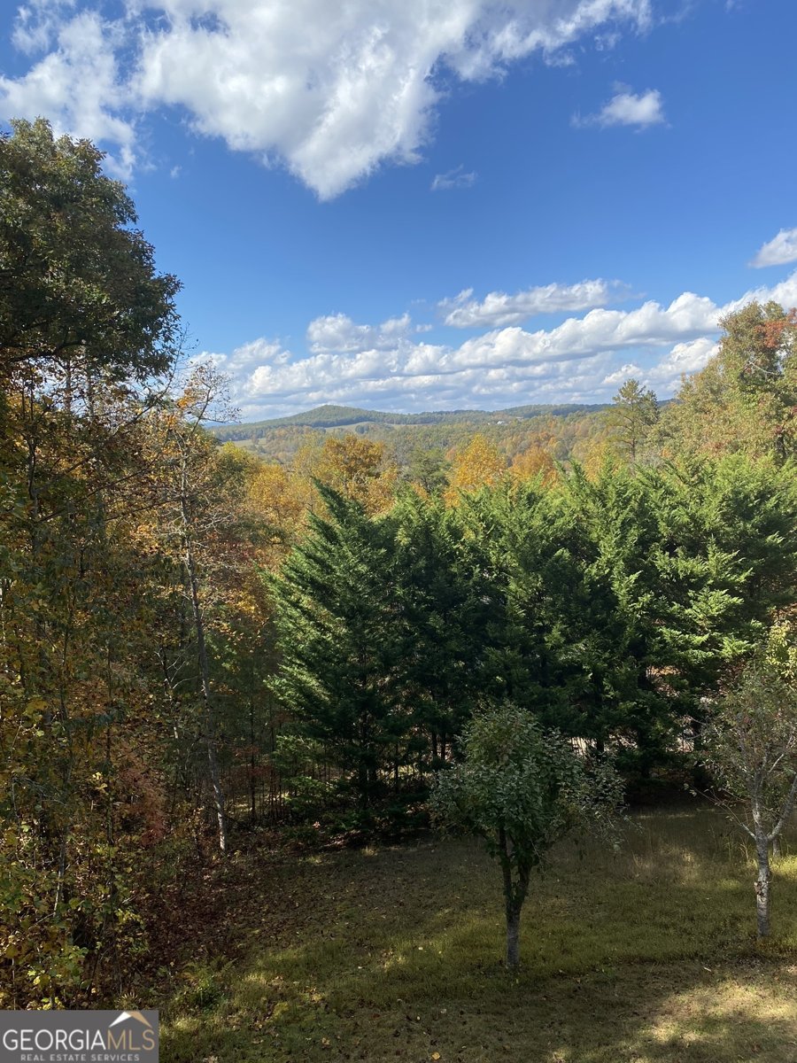 280 Northwoods Circle Blairsville - 61