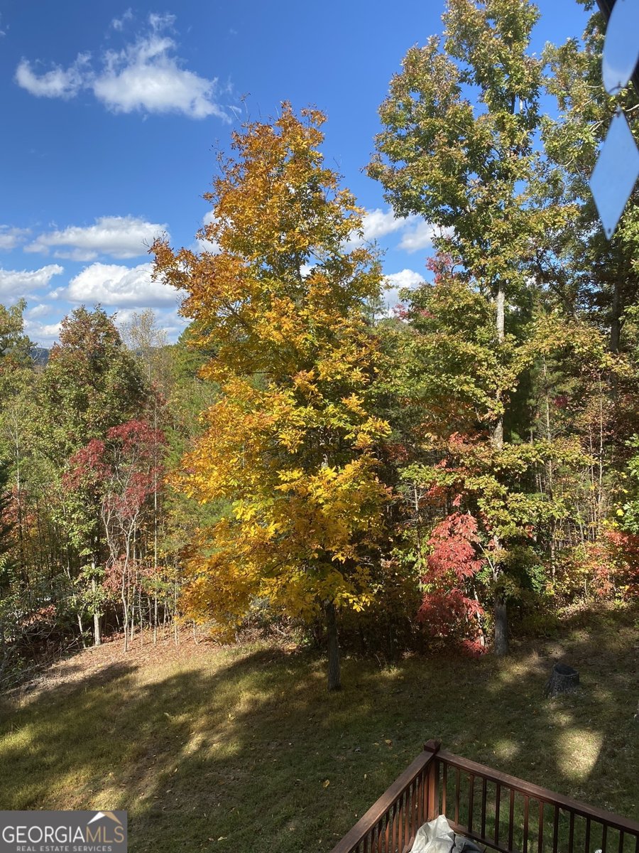 280 Northwoods Circle Blairsville - 62