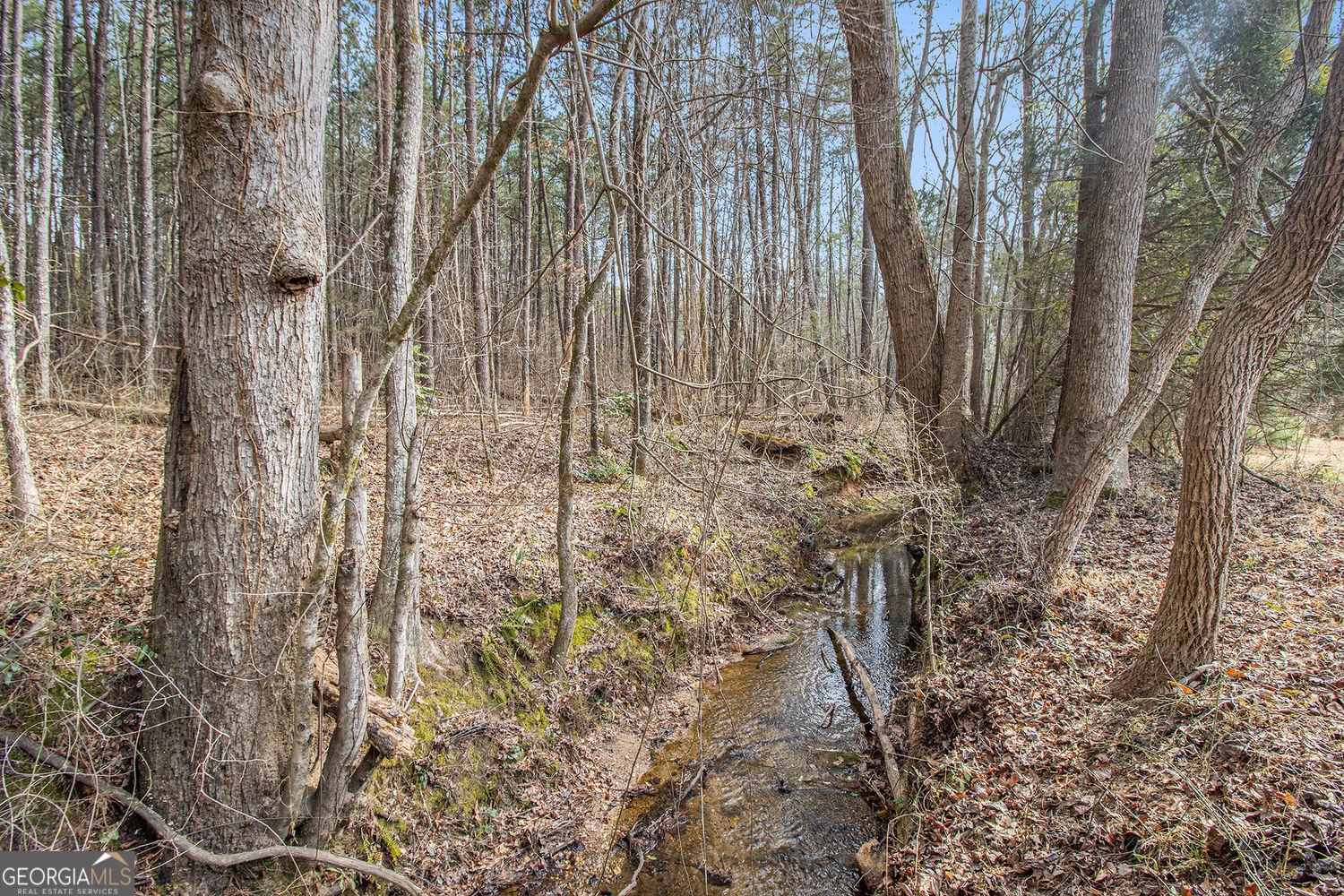 490 Dorsey Road Road Hampton - 40