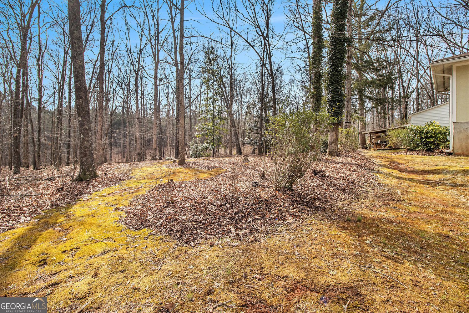 490 Dorsey Road Road Hampton - 45