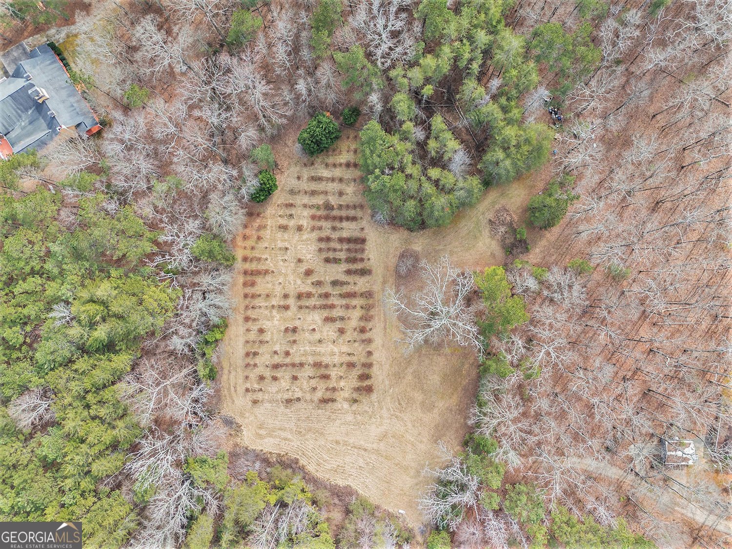 490 Dorsey Road Road Hampton - 72