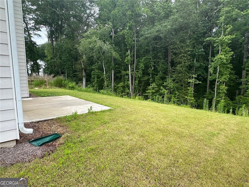 2180 Highridge Point Drive Lithia Springs - 40