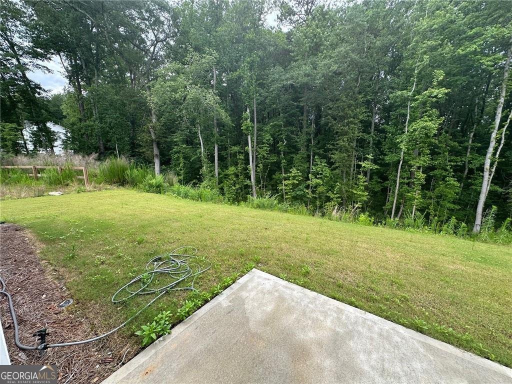 2180 Highridge Point Drive Lithia Springs - 41
