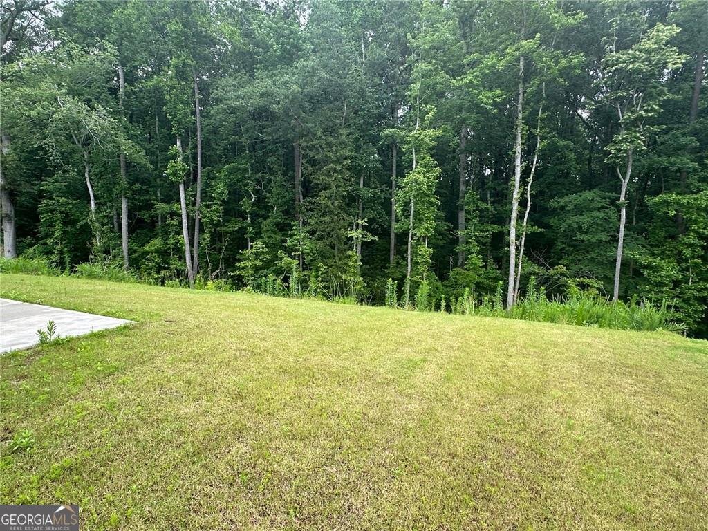 2180 Highridge Point Drive Lithia Springs - 42