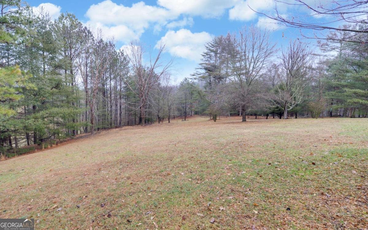 133 Elkmont Drive Dahlonega - 53