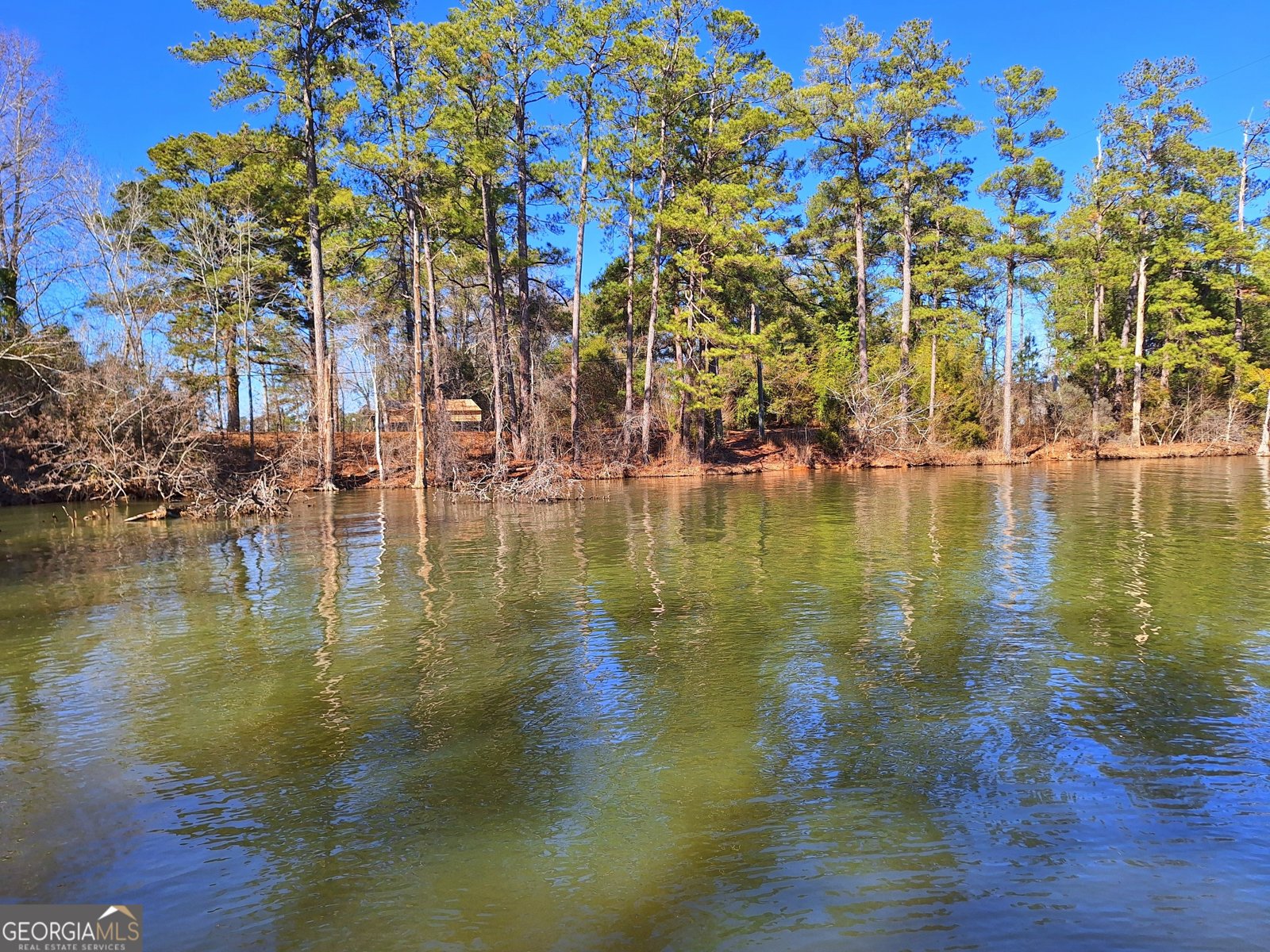 160 B Hamm Road Jackson - 12
