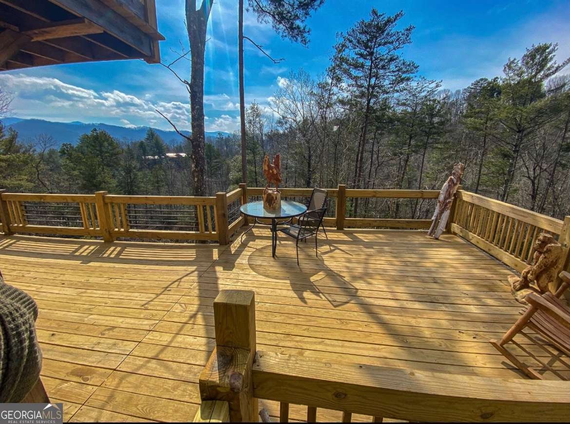 170 Community Hill Drive Blue Ridge - 12