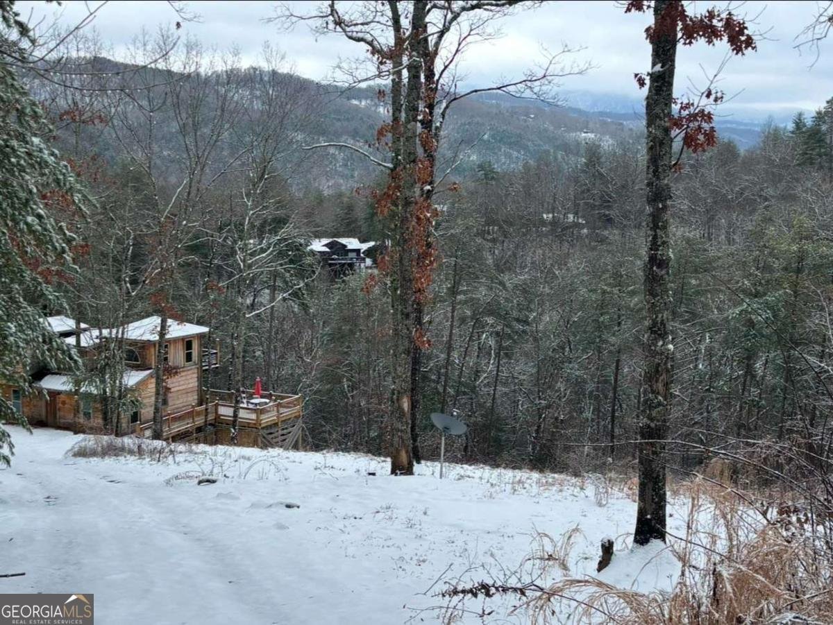 170 Community Hill Drive Blue Ridge - 18