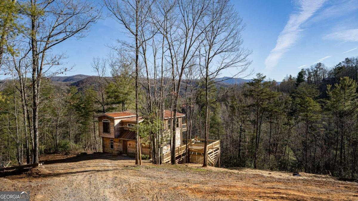 170 Community Hill Drive Blue Ridge - 21