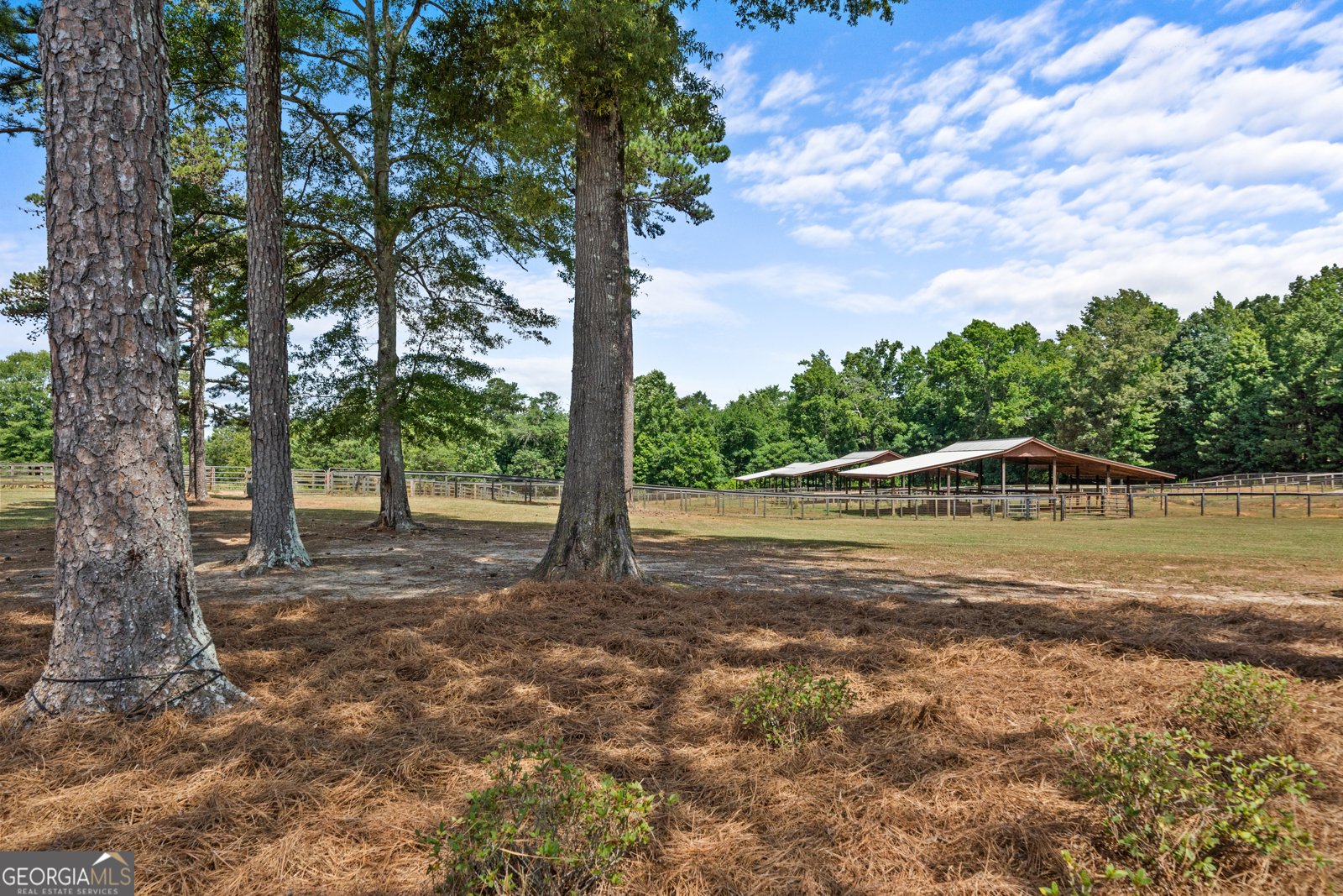 3170 Double Bridges Road Rutledge - 14