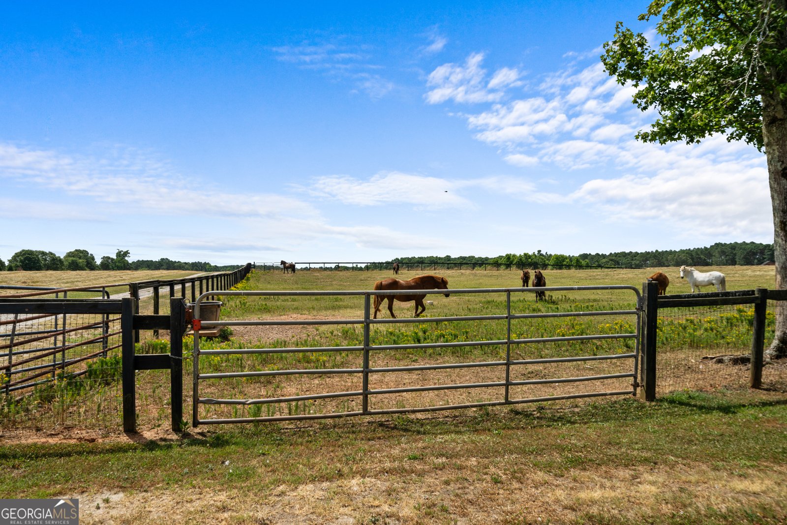 3170 Double Bridges Road Rutledge - 44
