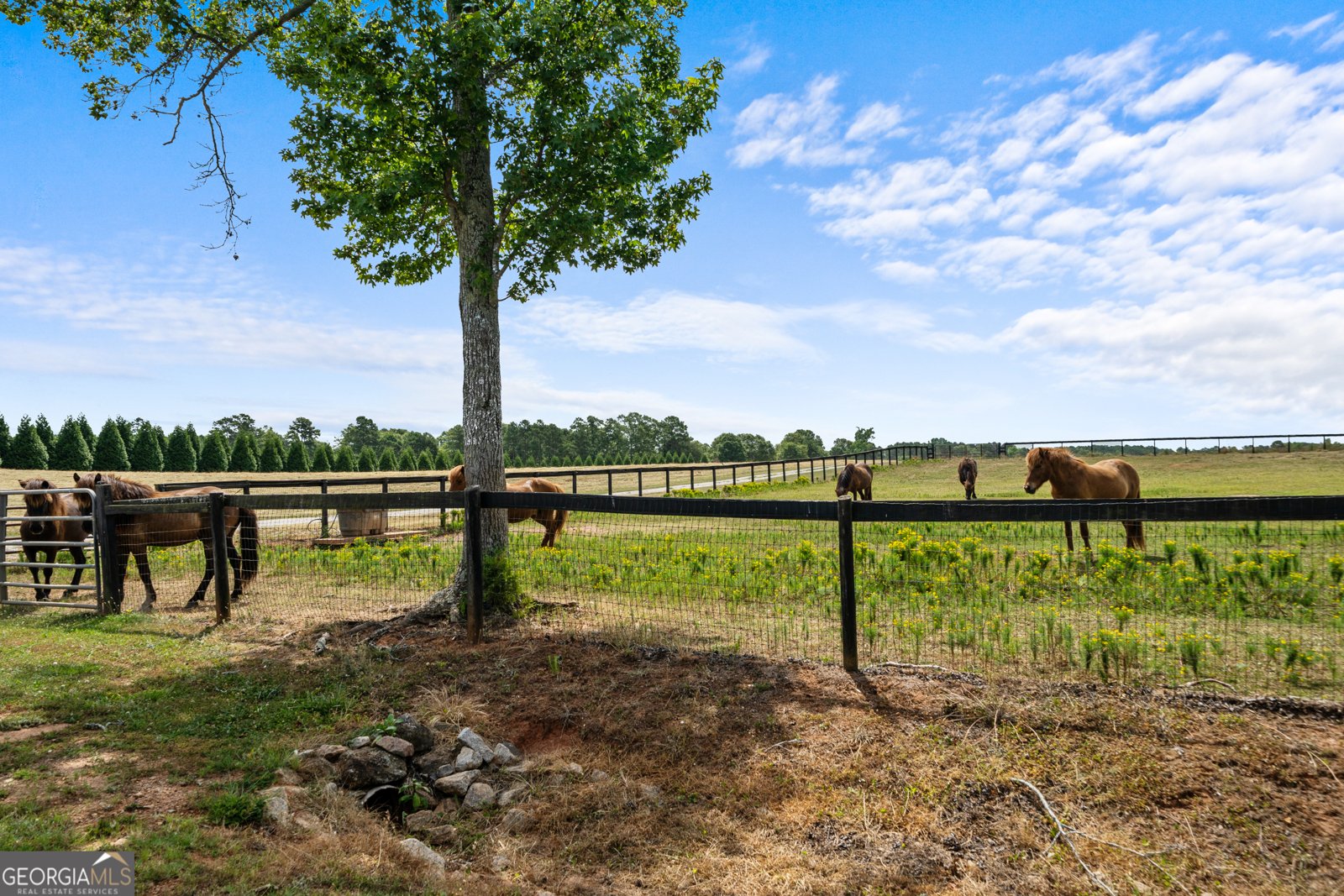 3170 Double Bridges Road Rutledge - 51