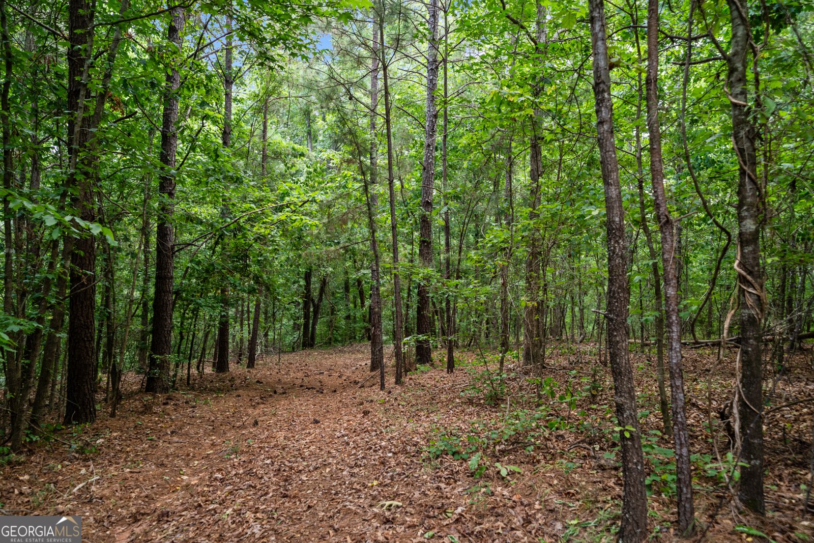 3170 Double Bridges Road Rutledge - 55