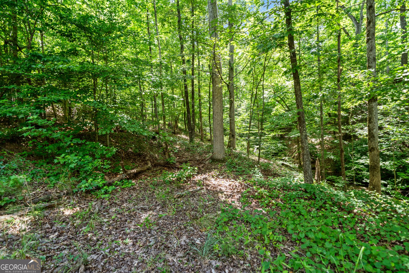 3170 Double Bridges Road Rutledge - 57