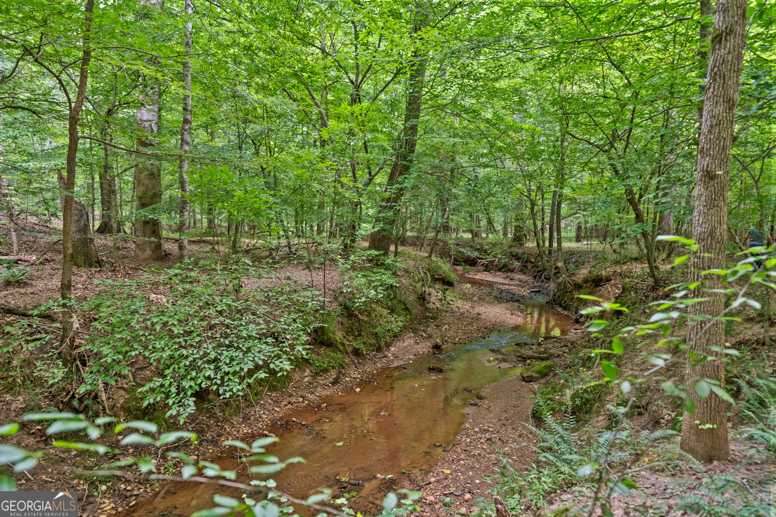3170 Double Bridges Road Rutledge - 58