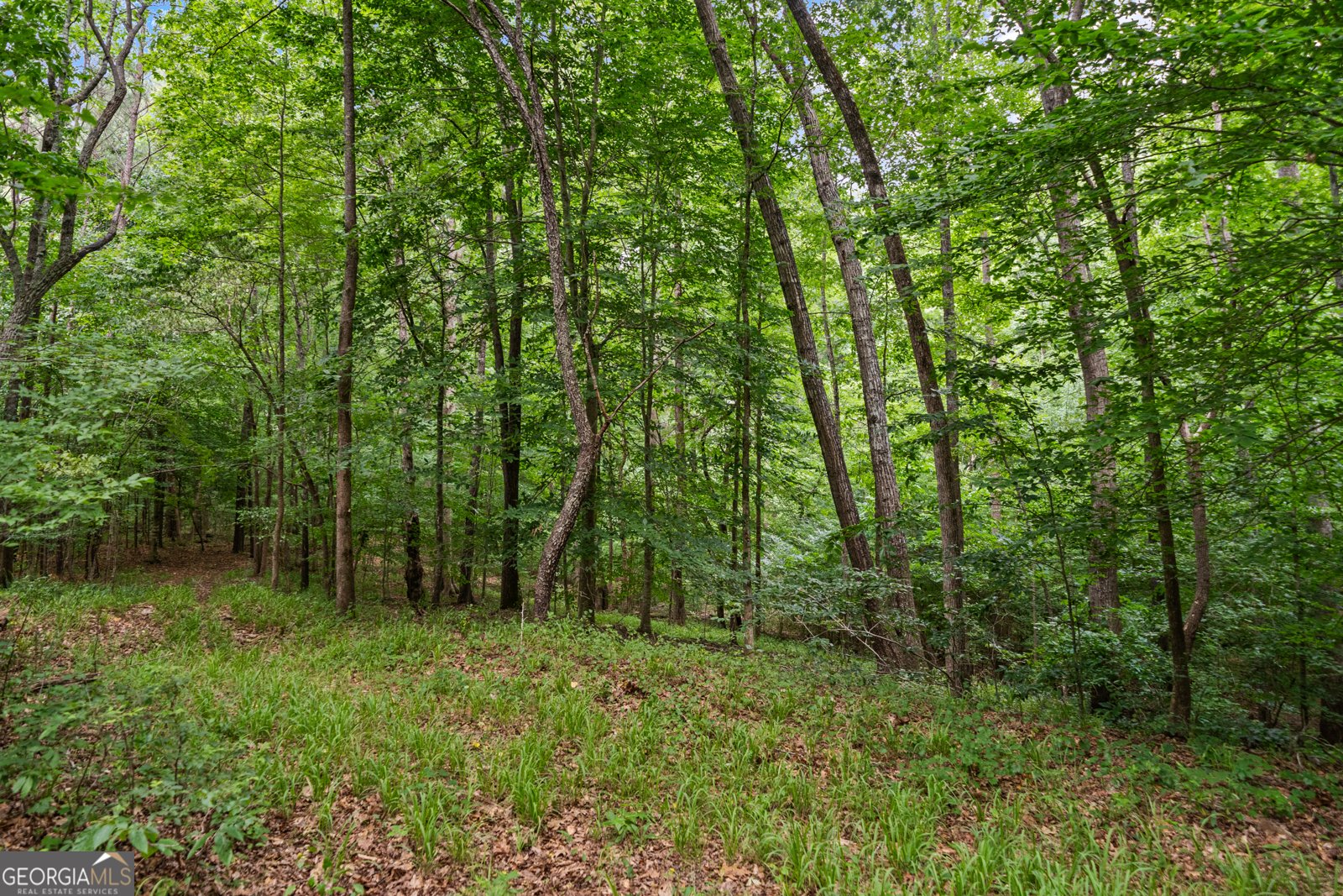 3170 Double Bridges Road Rutledge - 59