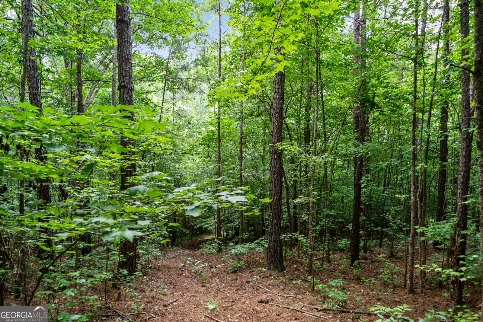 3170 Double Bridges Road Rutledge - 60