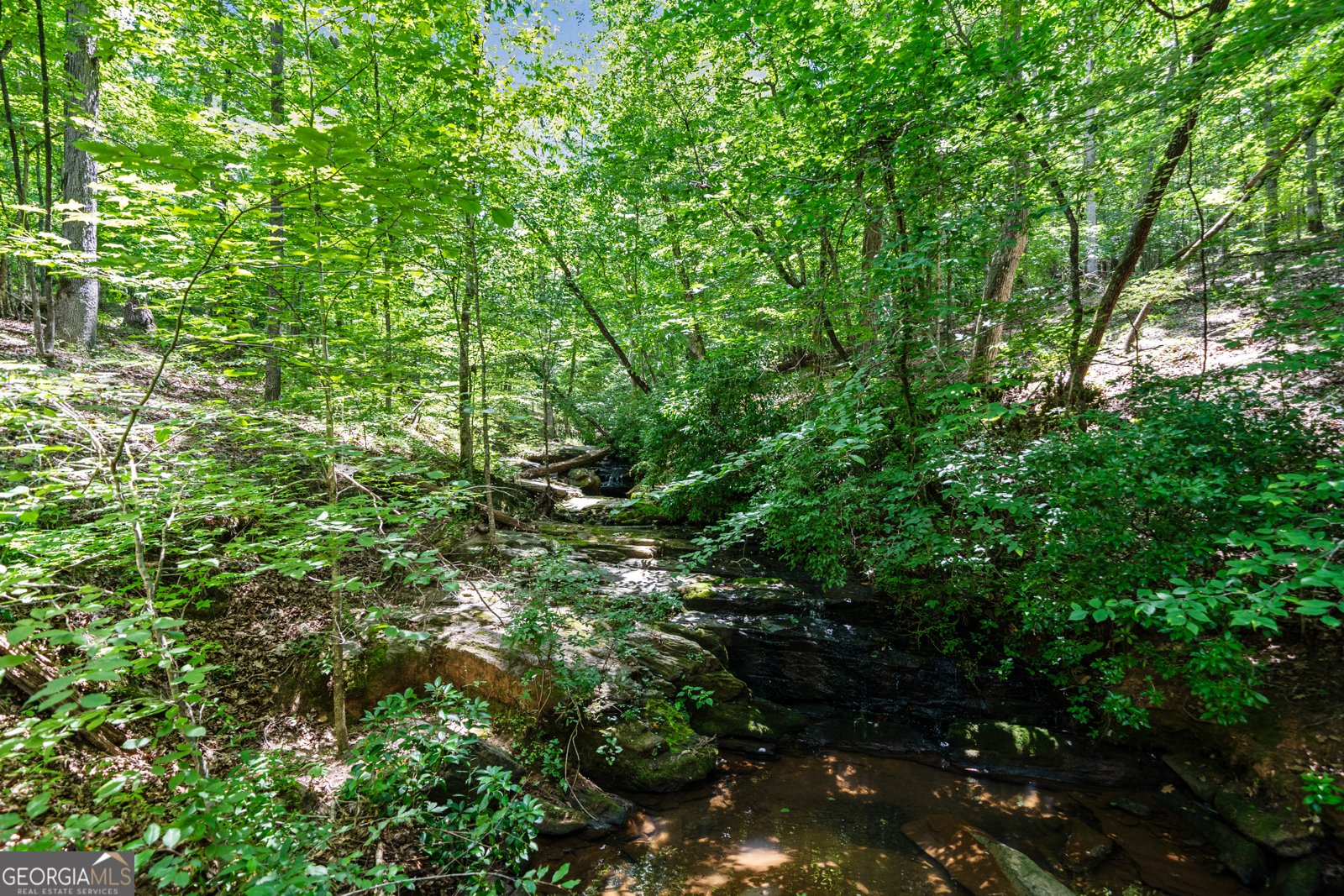 3170 Double Bridges Road Rutledge - 61