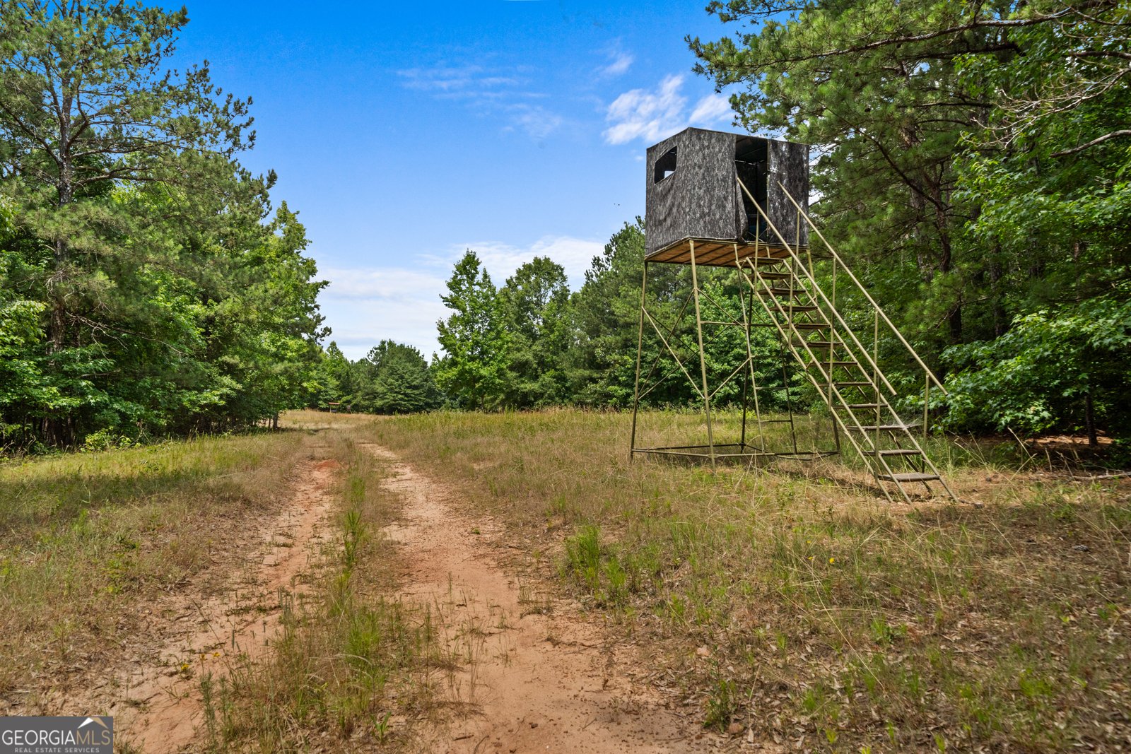 3170 Double Bridges Road Rutledge - 62