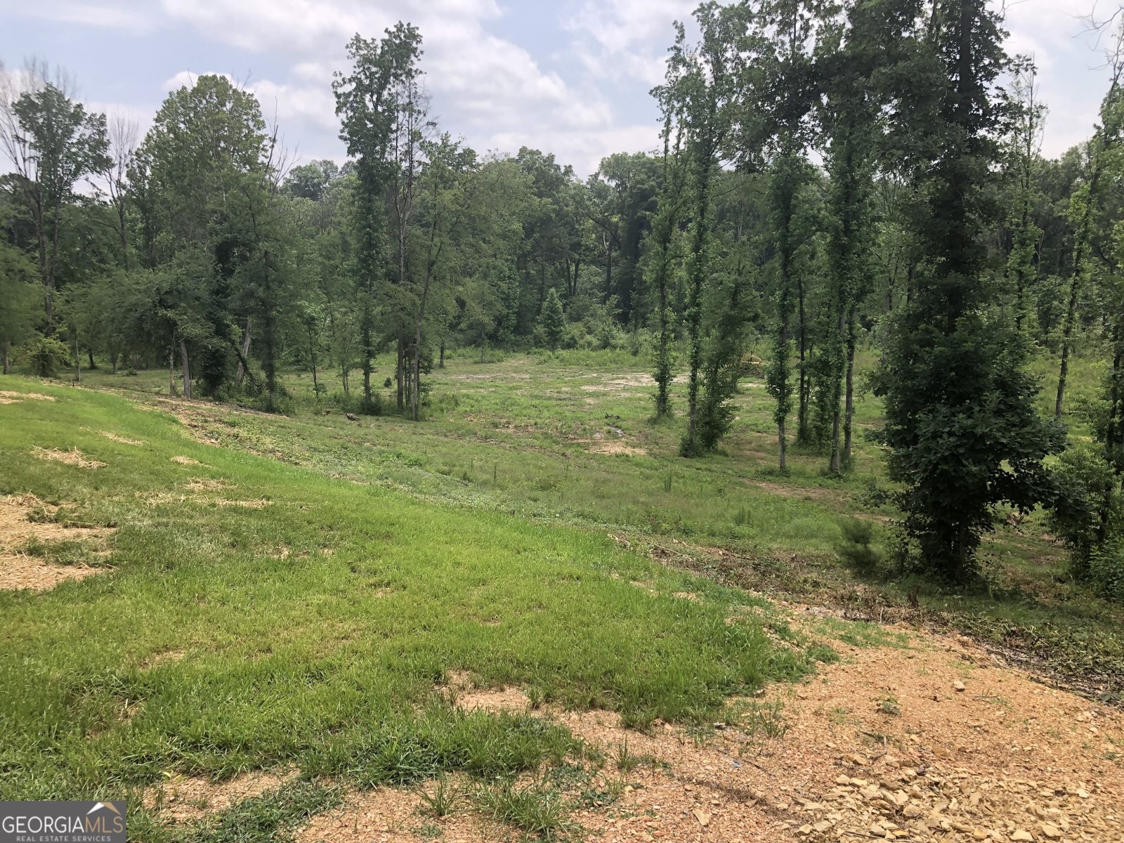1581 Taylor Town Road Ranger - 50