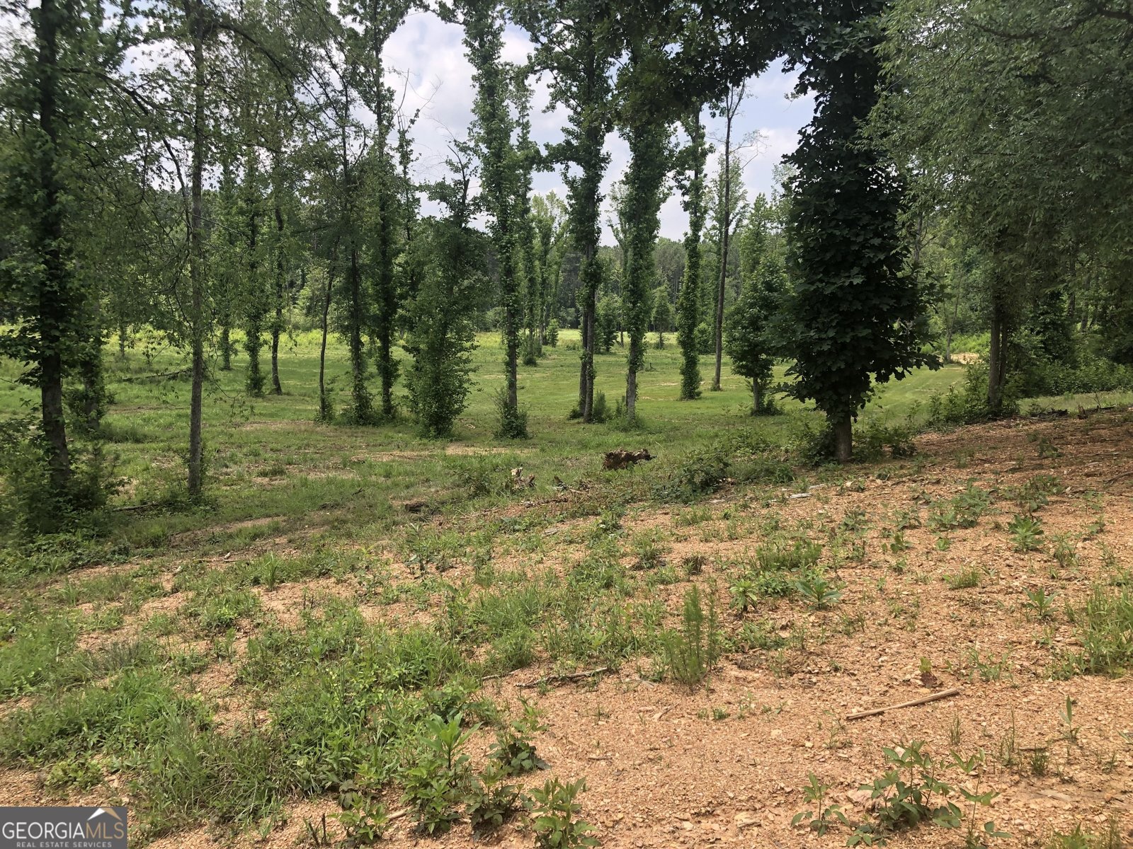 1581 Taylor Town Road Ranger - 53
