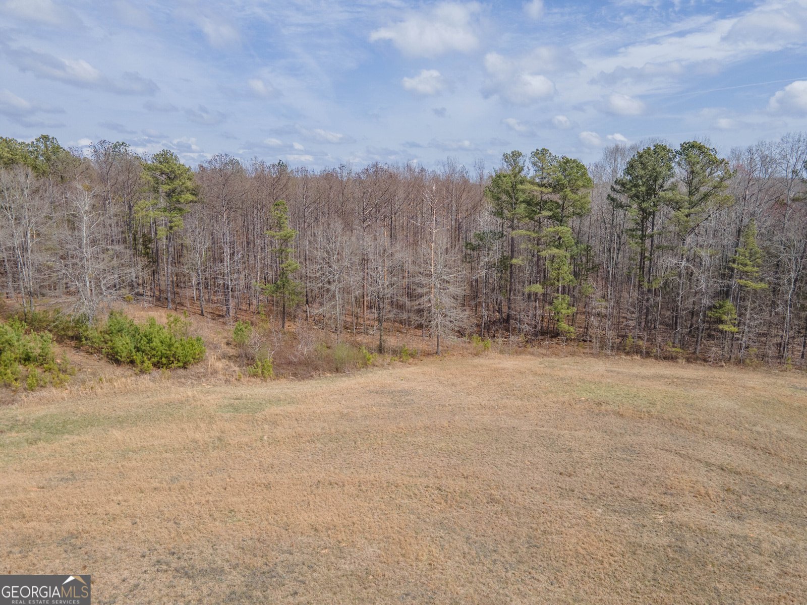 1509 Wagers Mill Road Newnan - 11