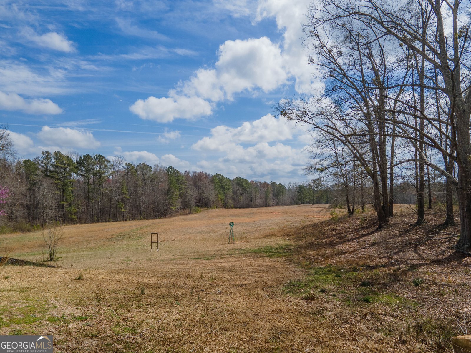1509 Wagers Mill Road Newnan - 6