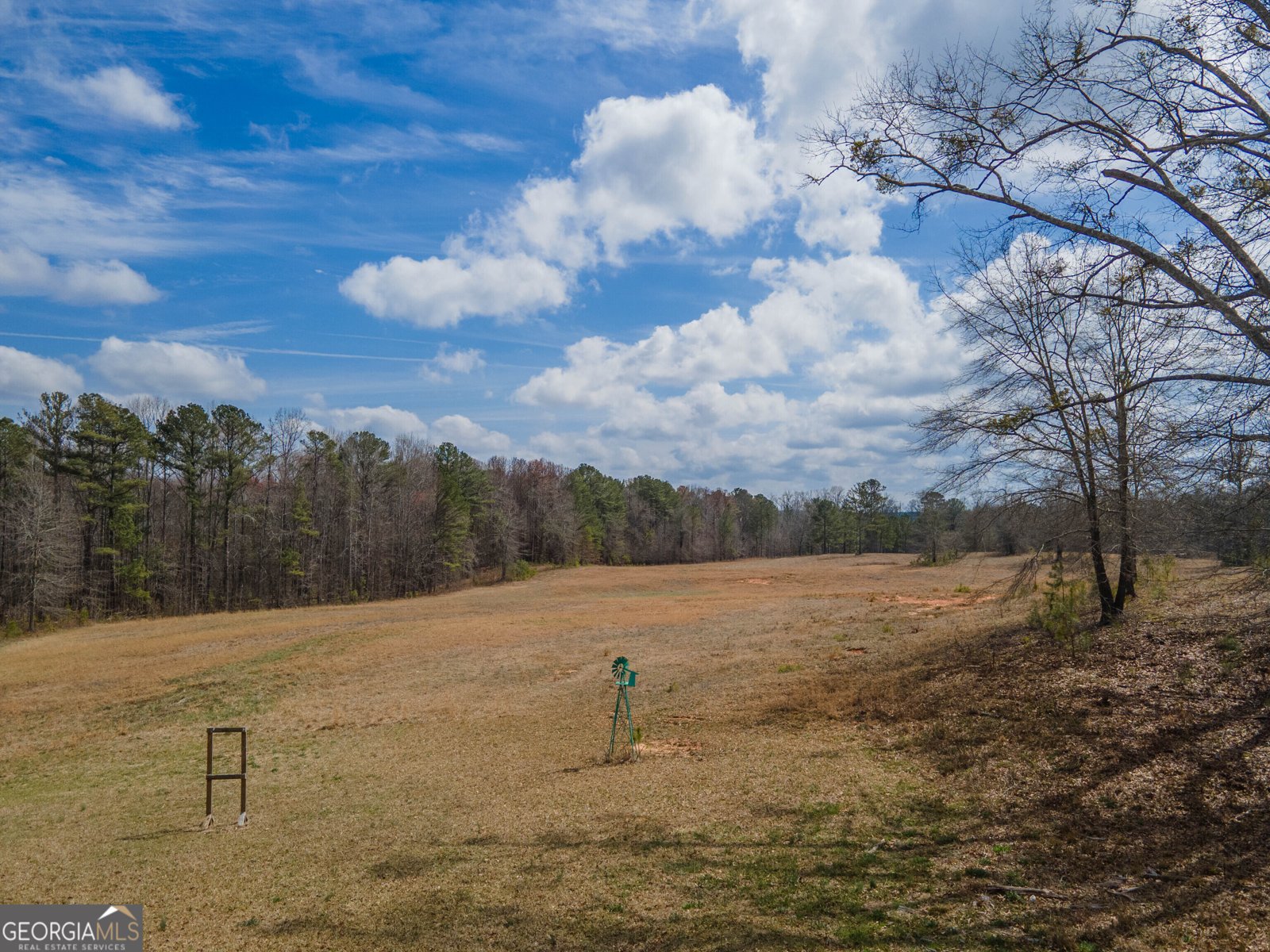 1509 Wagers Mill Road Newnan - 7