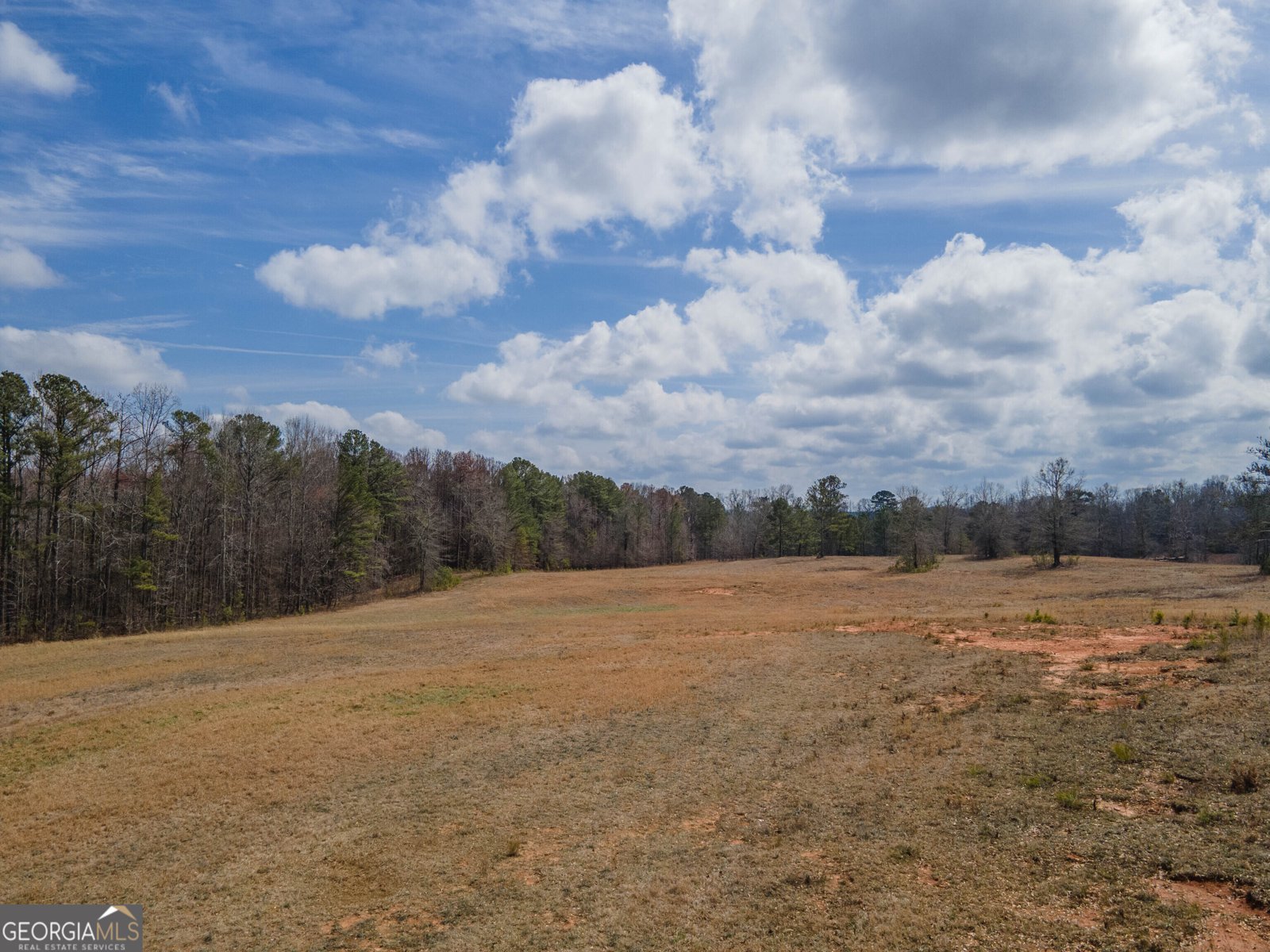 1509 Wagers Mill Road Newnan - 8