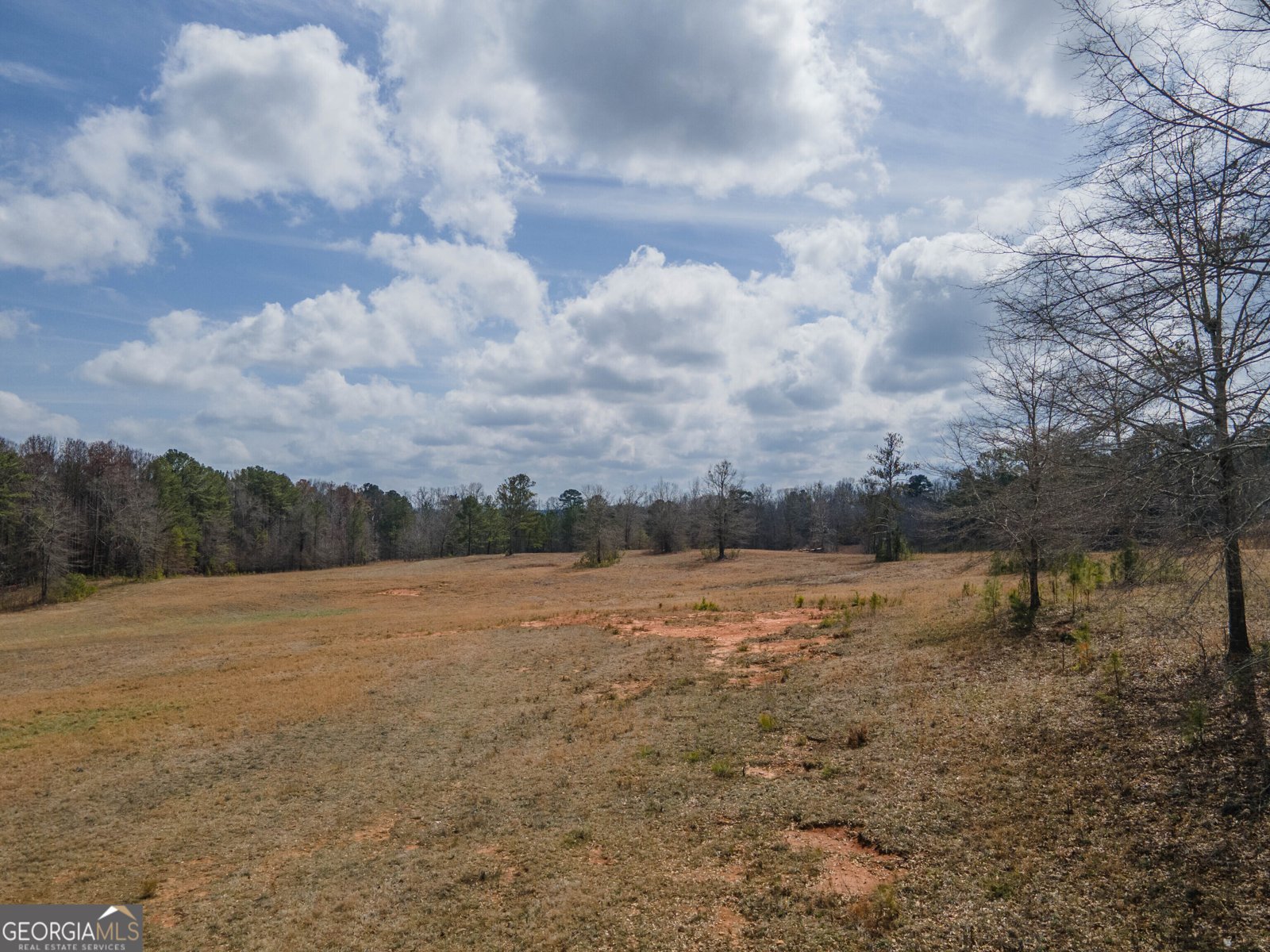 1509 Wagers Mill Road Newnan - 9