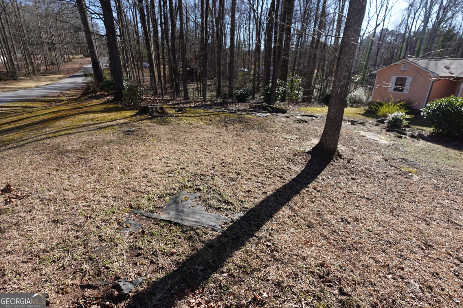 125 Oak Leaf Drive Stockbridge - 11
