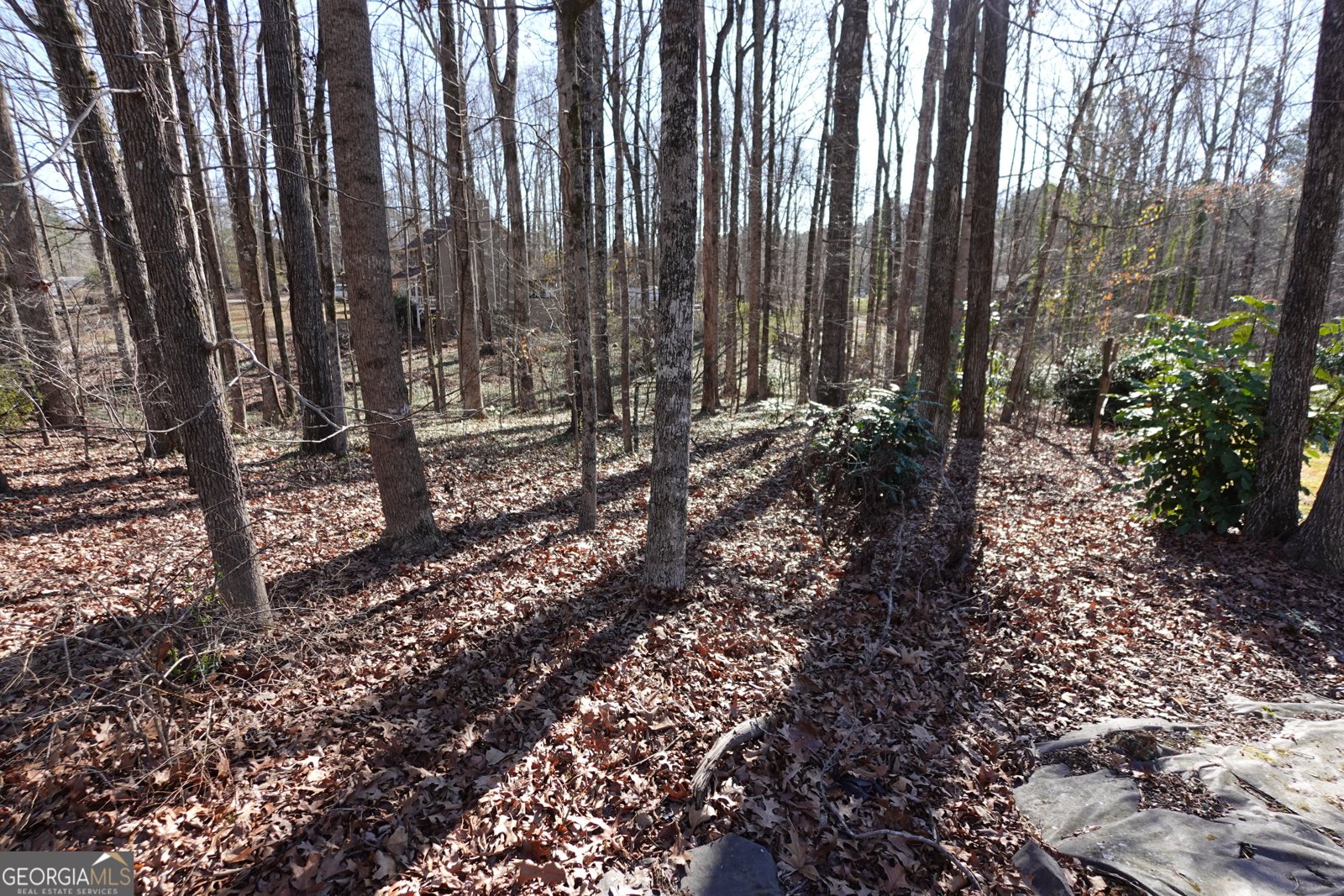 125 Oak Leaf Drive Stockbridge - 13