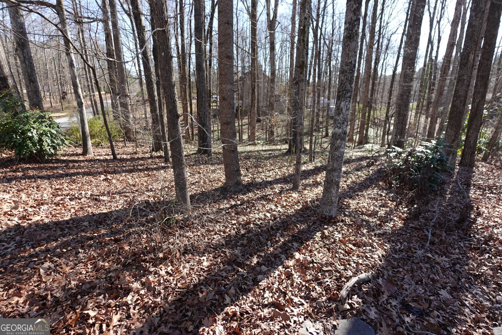 125 Oak Leaf Drive Stockbridge - 14