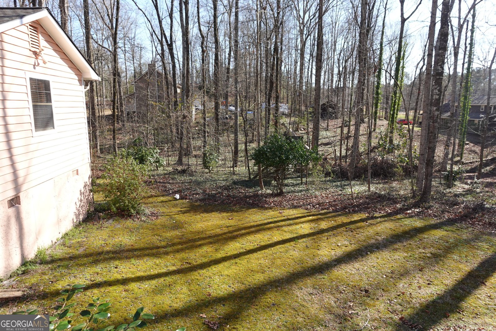 125 Oak Leaf Drive Stockbridge - 33