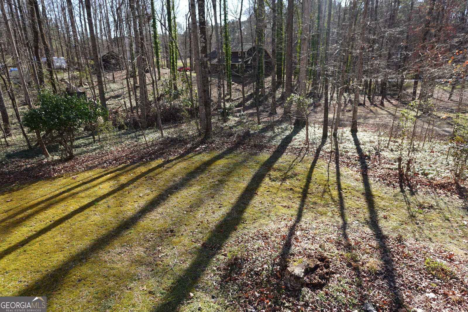 125 Oak Leaf Drive Stockbridge - 34