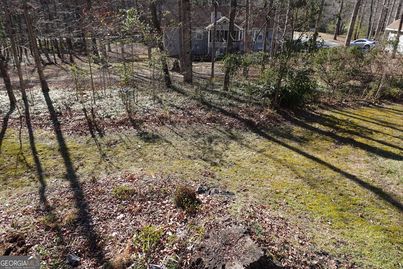 125 Oak Leaf Drive Stockbridge - 36