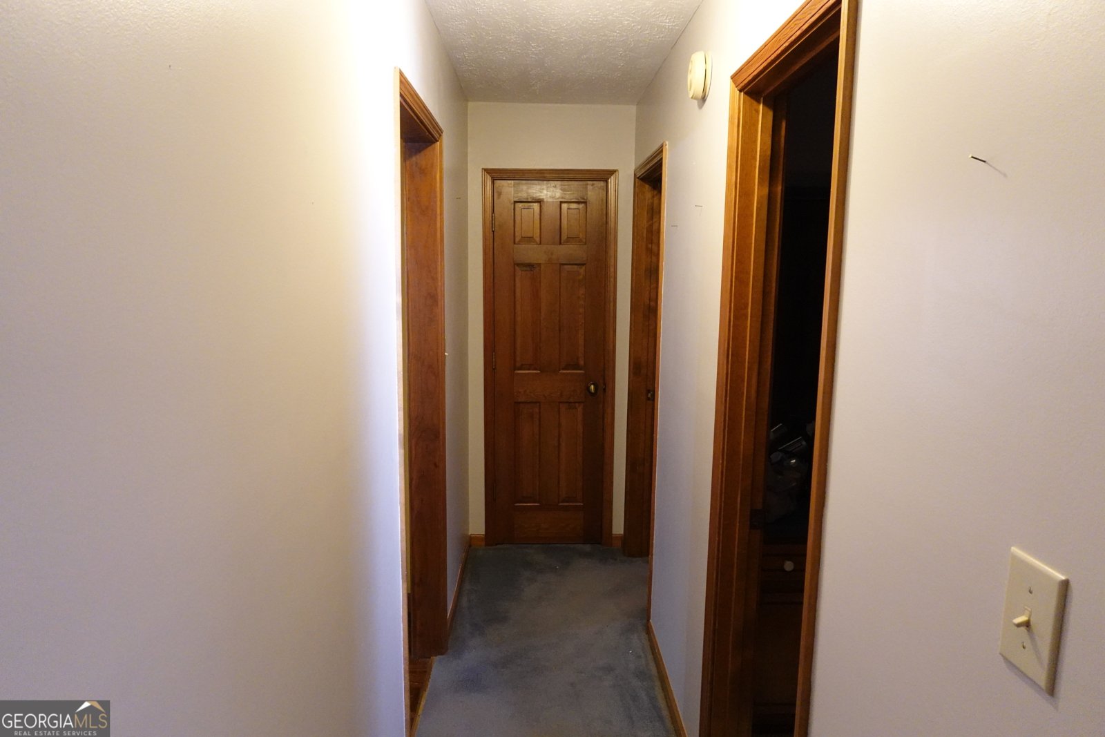 125 Oak Leaf Drive Stockbridge - 48