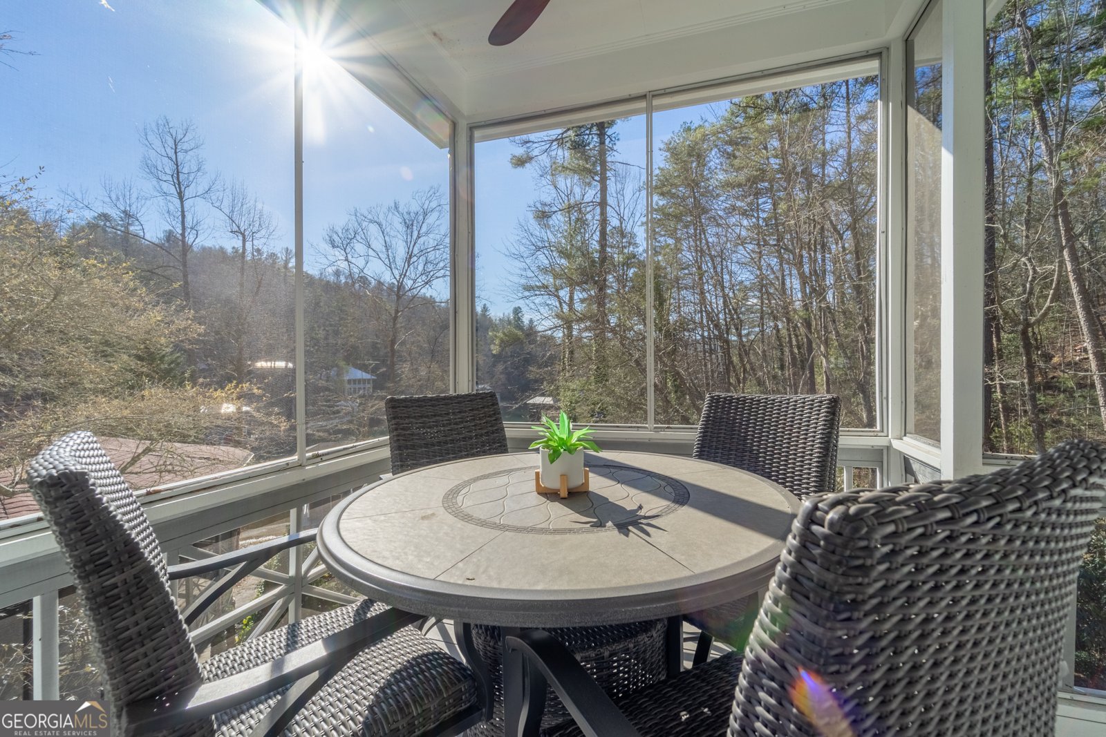 336 Fulton Road Tiger - 35