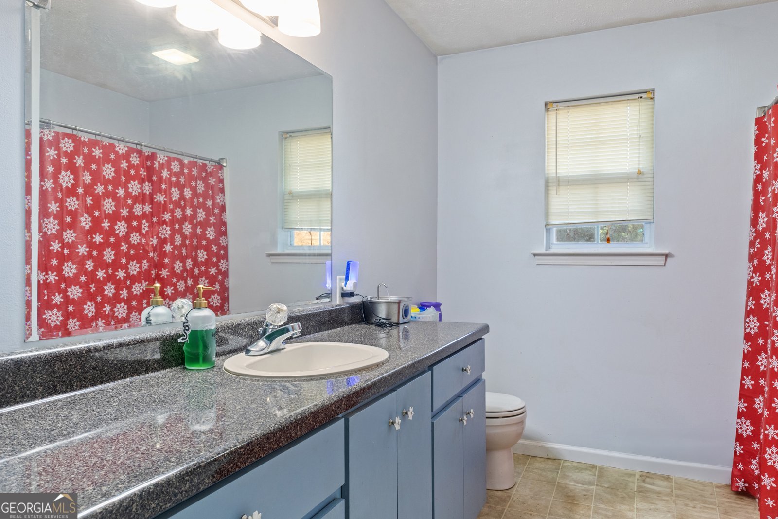110 Clearview Street Clarkesville - 12