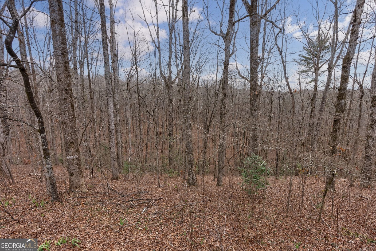 254 Ridgewood Road Clarkesville - 48