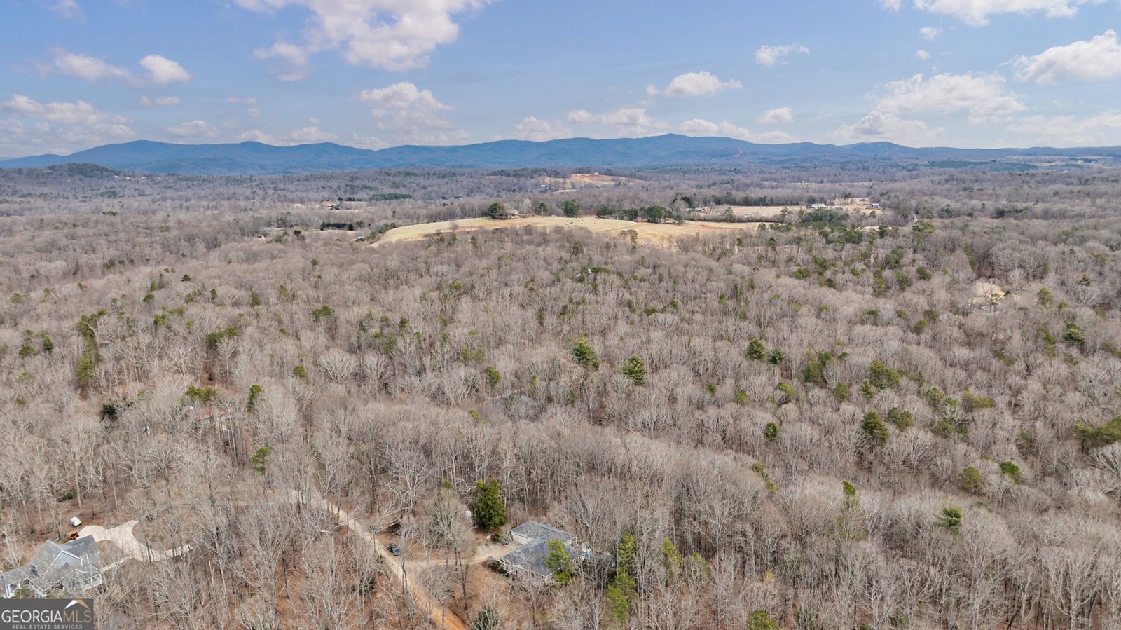 254 Ridgewood Road Clarkesville - 55
