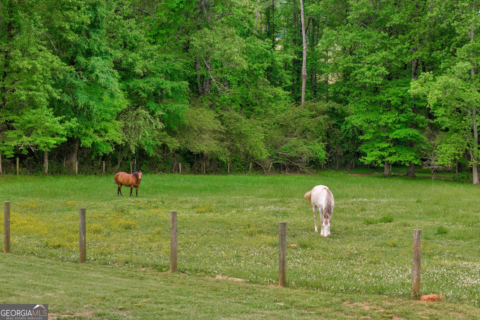 3004 Lipscomb Lake Road Pendergrass - 74
